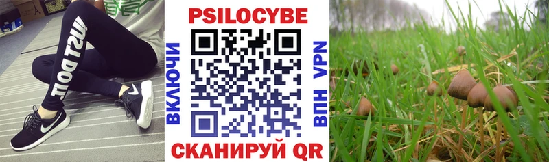 Псилоцибиновые грибы Cubensis  Уварово 
