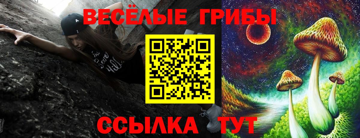 Уварово  Псилоцибиновые грибы мицелий  Вход с VPN  Псилоцибиновые грибы мухоморы 